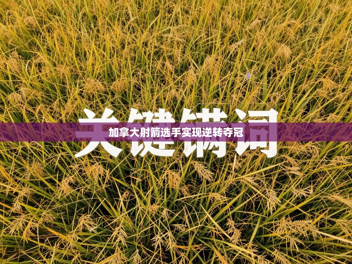 加拿大射箭选手实现逆转夺冠  第1张